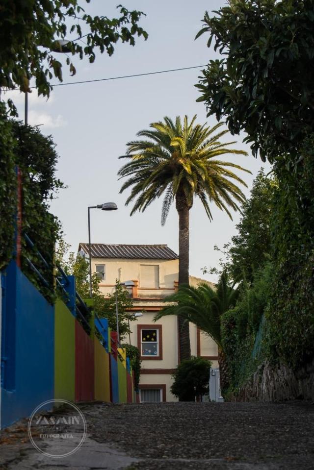 Se ubica esta villa en la calle Manuel Olivié, en plena Ciudad Jardín de El Castro. La construcción, de planta rectangular, data probablemente de entre los años treinta y cincuenta del siglo XX.